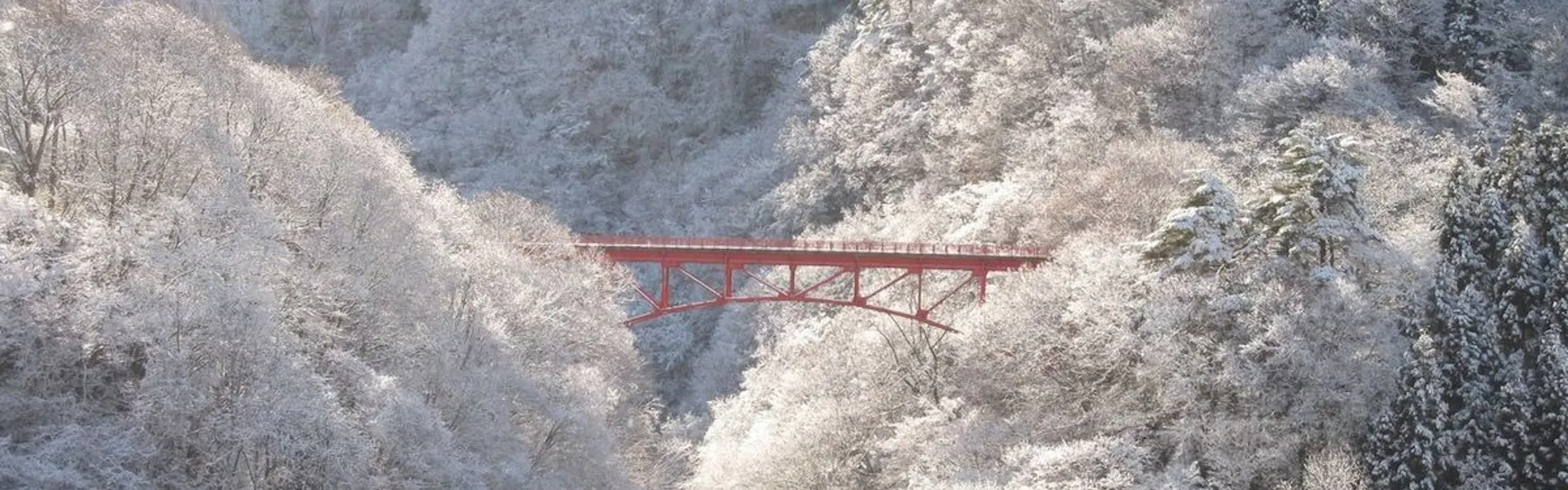 緑霞山宿 藤井荘