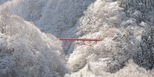 緑霞山宿 藤井荘