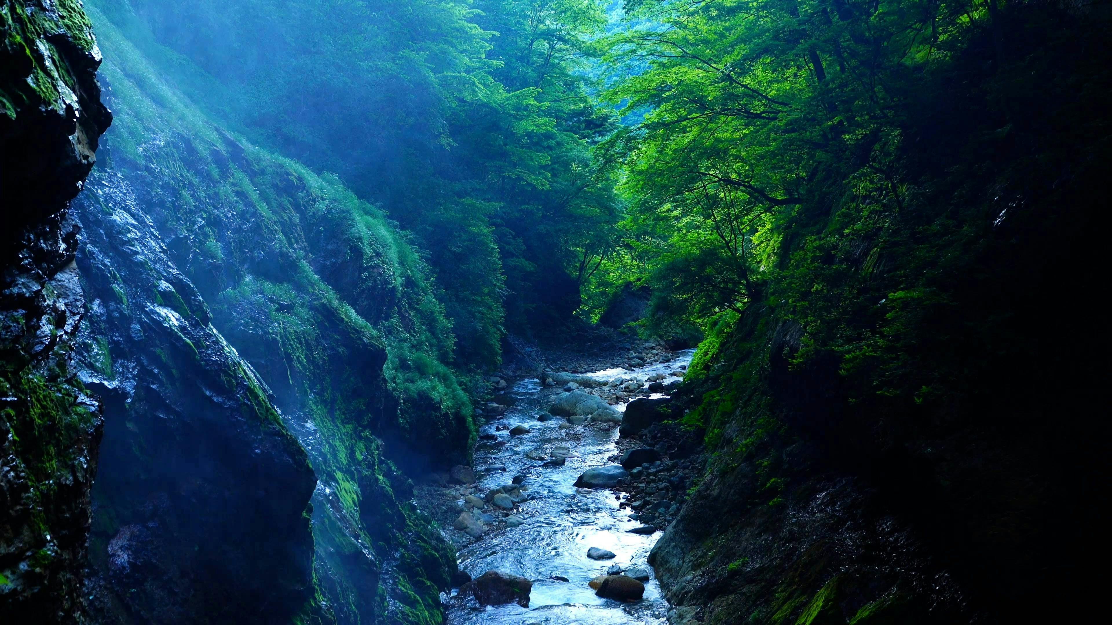 緑霞山宿　藤井荘