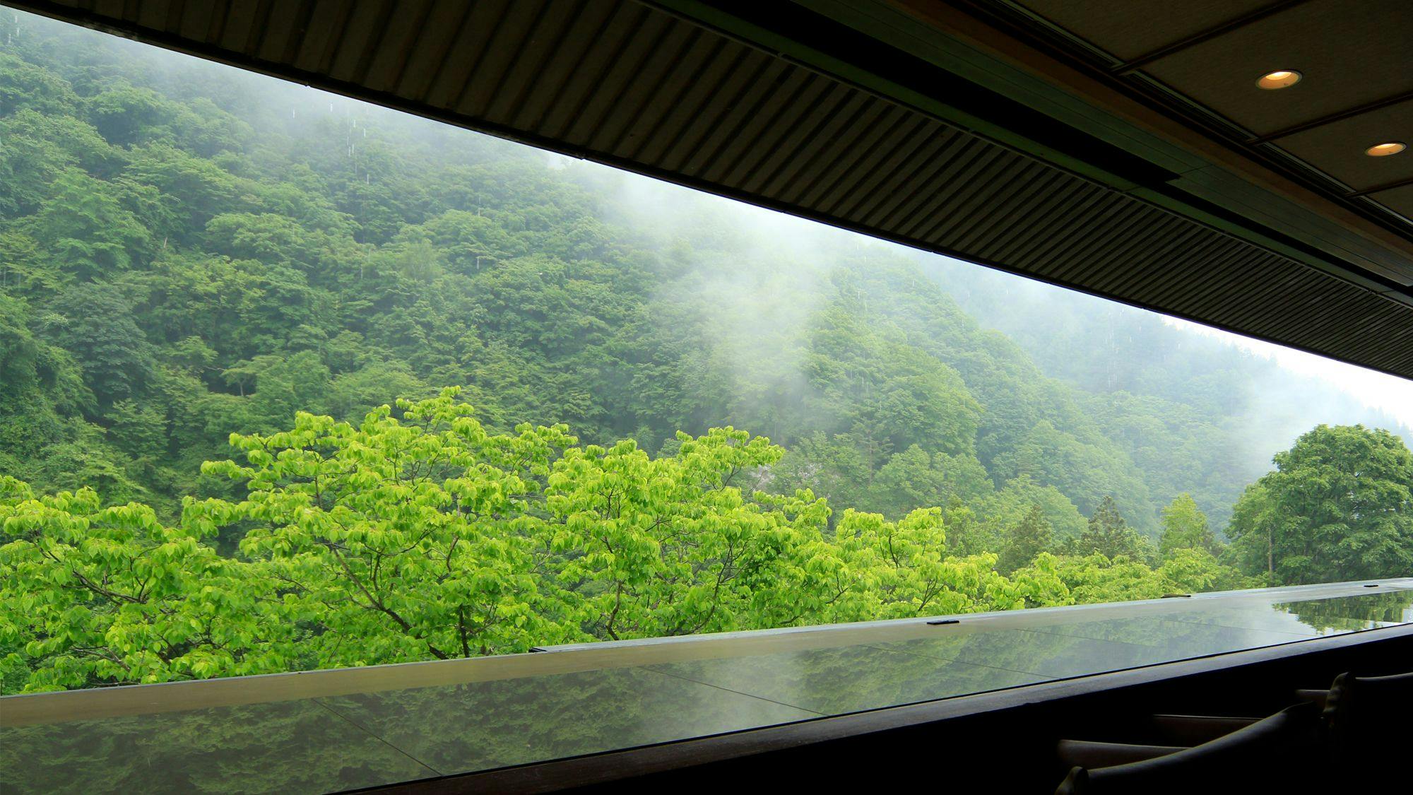 緑霞山宿　藤井荘