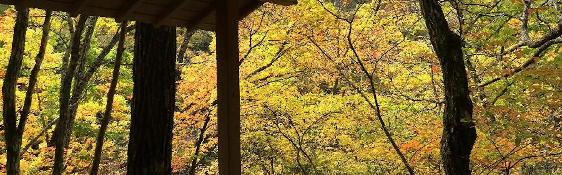 緑霞山宿 藤井荘