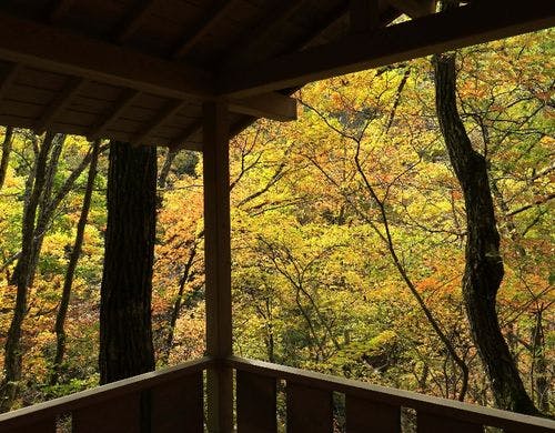 【散策路】ご宿泊のお客様専用の散策路