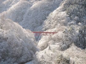 高山村の象徴高井橋