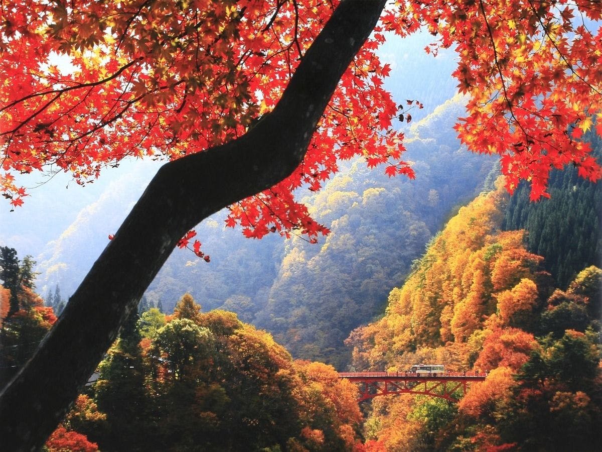 緑霞山宿　藤井荘