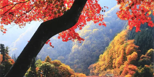 緑霞山宿 藤井荘