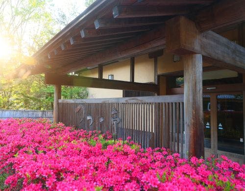 満開のつつじでお出迎え（玄関）