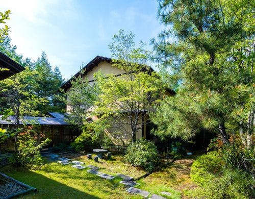 新緑あふれる中庭