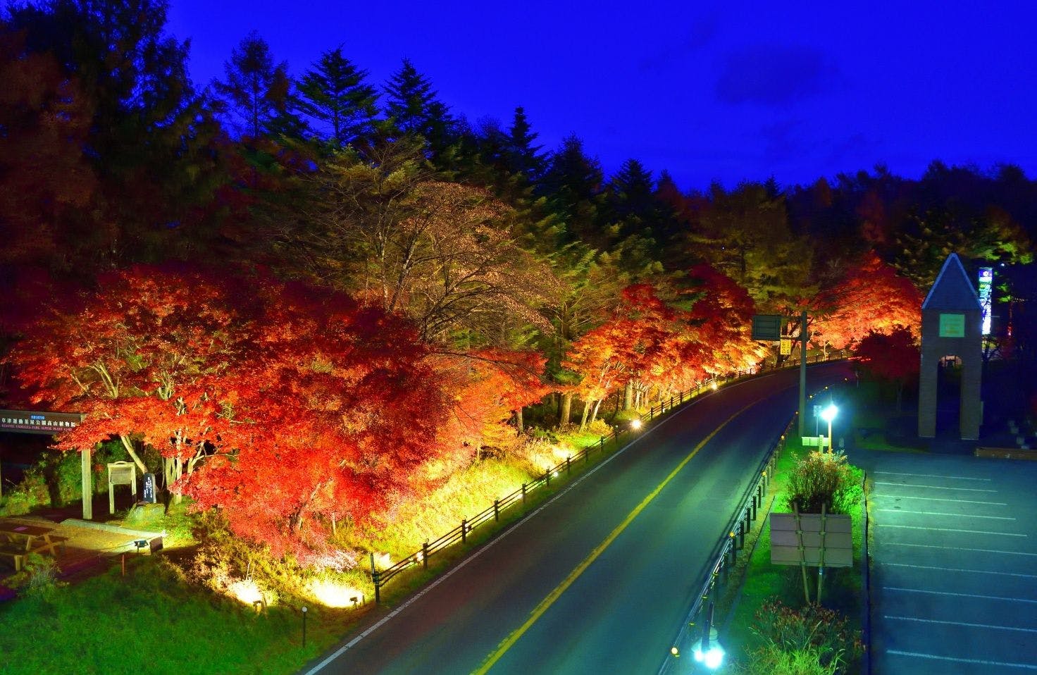 道の駅 紅葉ライトアップ