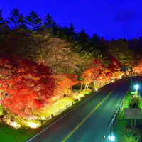 道の駅 紅葉ライトアップ