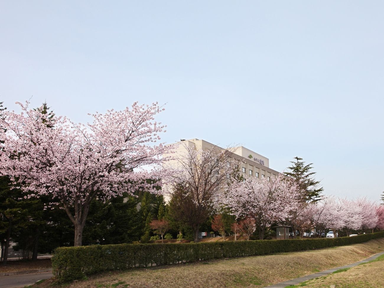 ホテル外観【桜の季節】