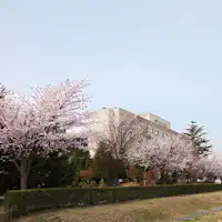 ภายนอกโรงแรม【ฤดูดอกซากุระ】