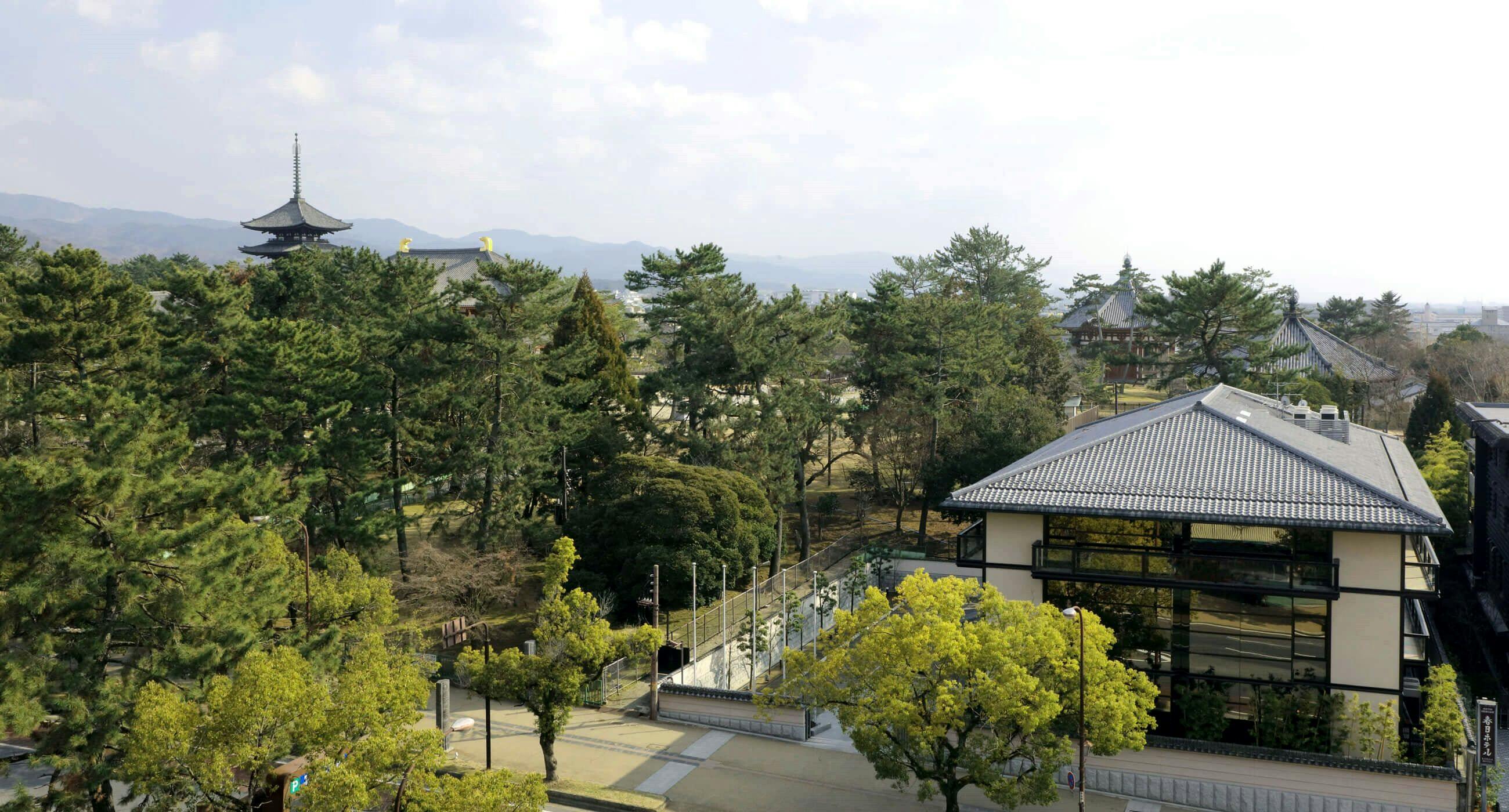 登大路ホテル