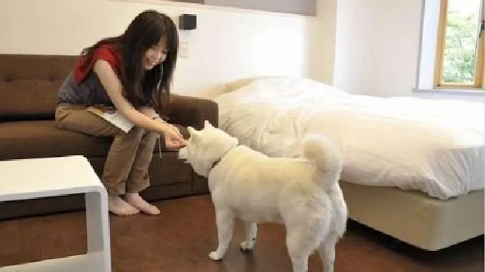 THE FOREST AKAN TSURUGA RESORT