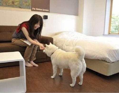 トゥラノ館【湖側】洋室／寛ぎの湖側洋室