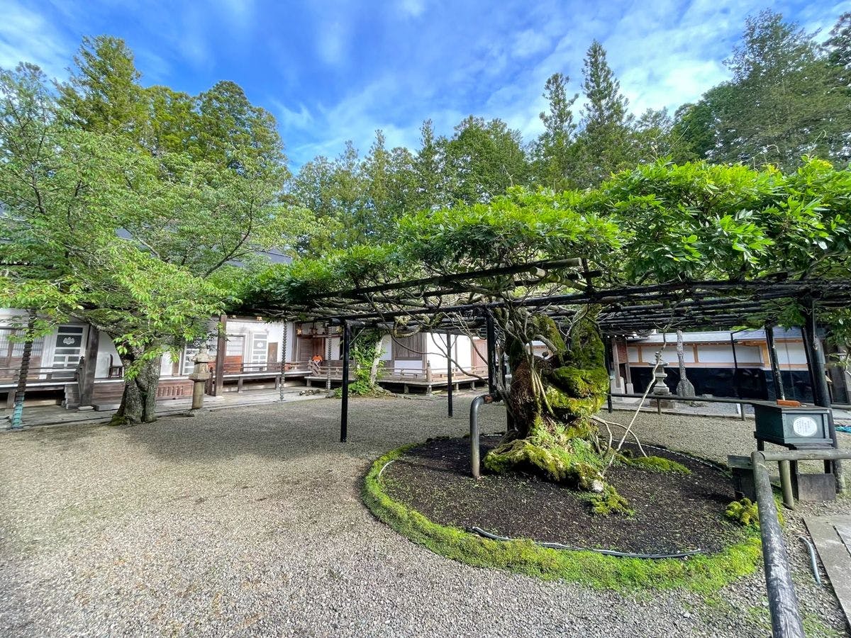 高野山　別格本山　総持院