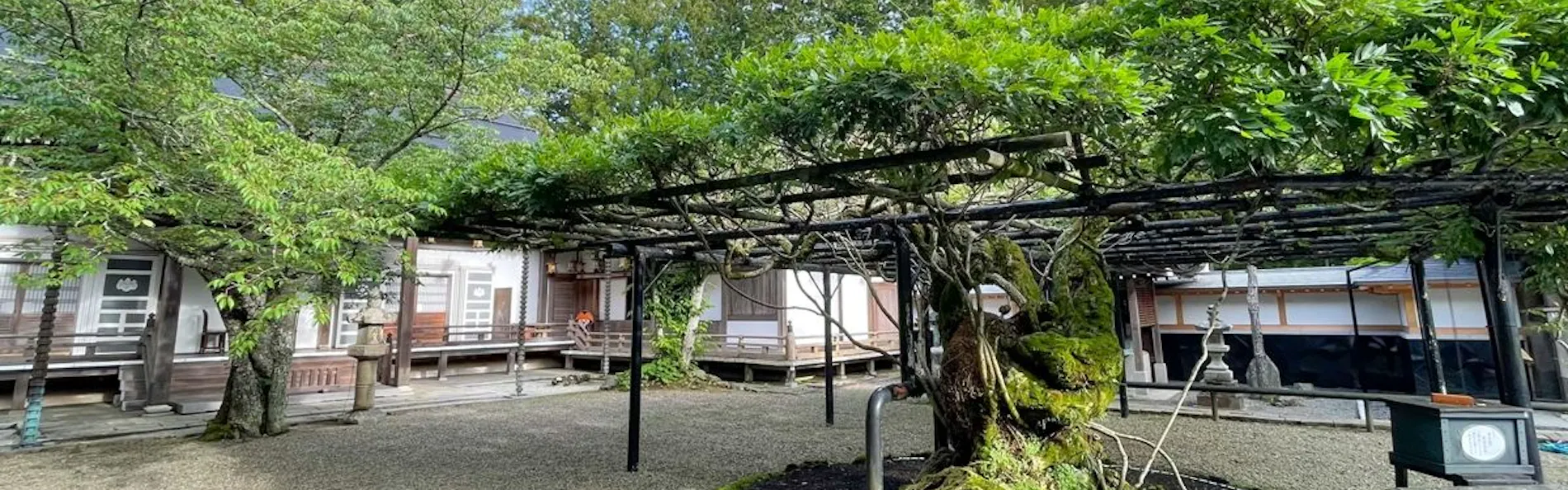 高野山 別格本山 総持院