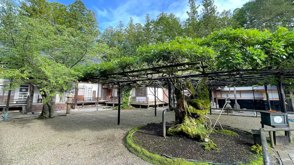 Koyasan Shukubo Sojiin