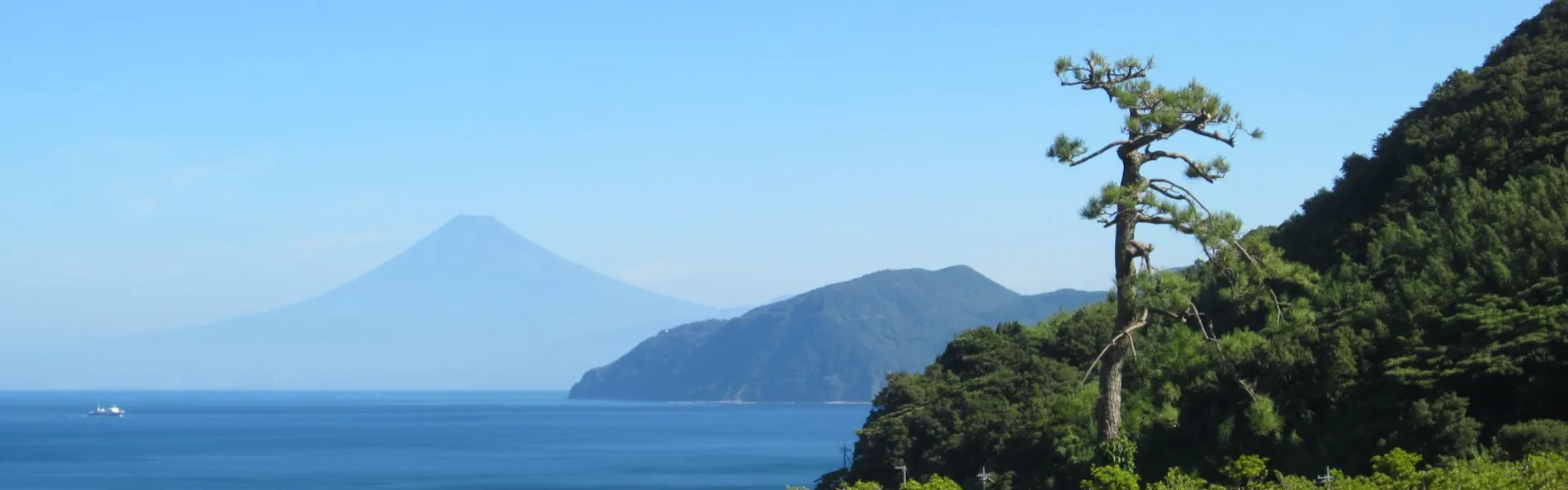 世界遺産 富士山を望む宿 富岳群青