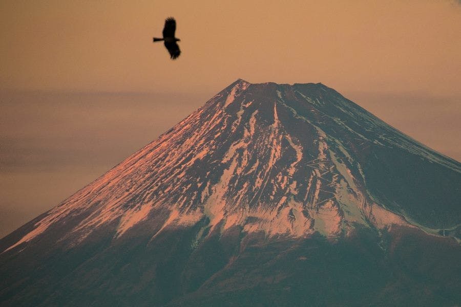 World Heritage Site: Fugaku Gunjo, an Inn with Views of Mount Fuji