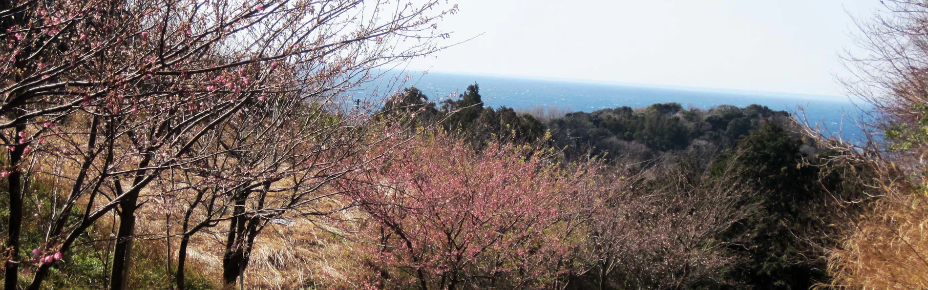 世界遺産 富士山を望む宿 富岳群青