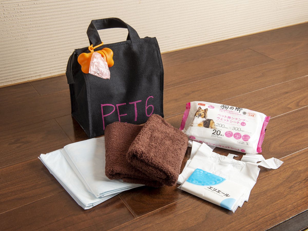 Guest room dog walking supplies