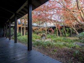 ペットと泊まれる宿 Wa！王国 狗の郷