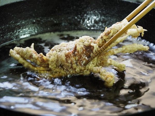 Super Hydrogen Rich Spa Yado KANZAN