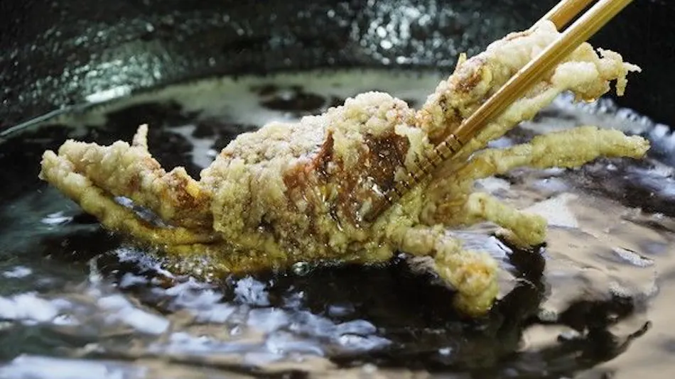 Super Hydrogen Rich Spa Yado KANZAN