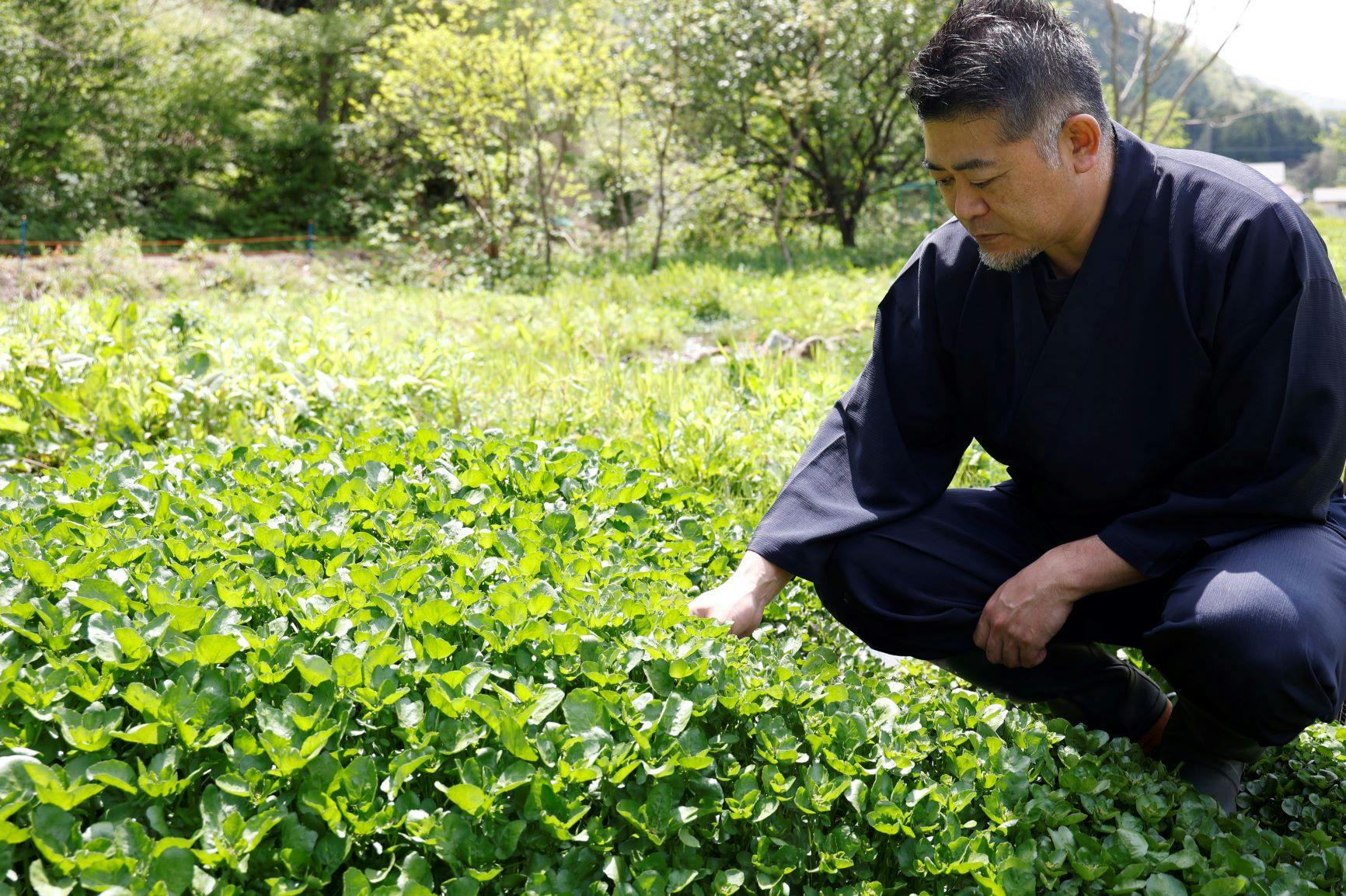 谷川温泉 やど莞山-KANZAN-
