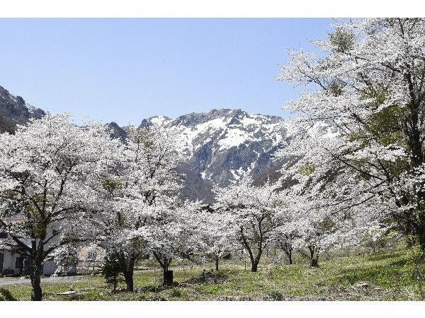 谷川温泉 やど莞山-KANZAN-