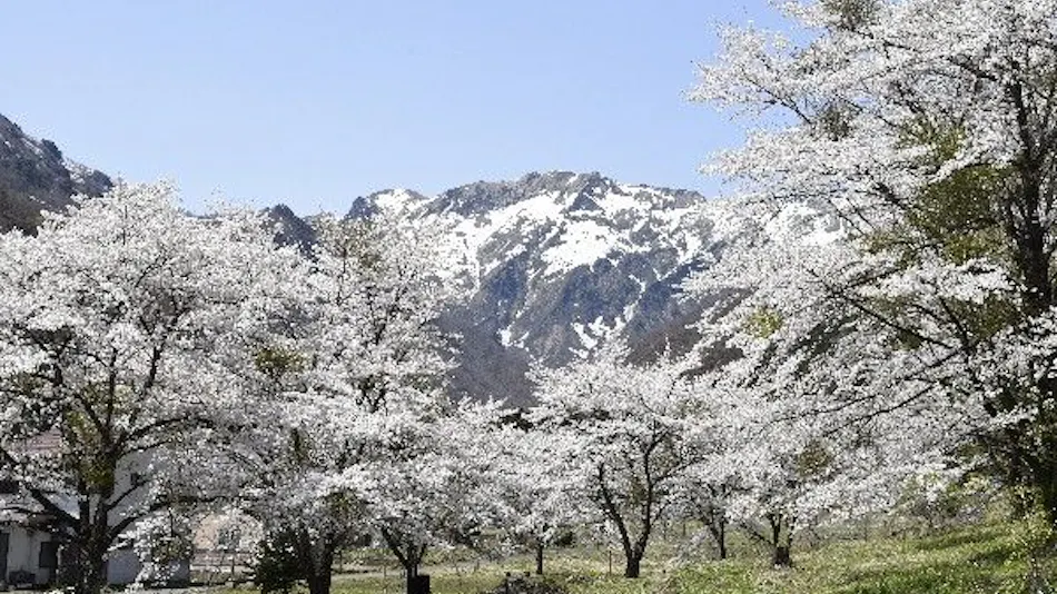 Super Hydrogen Rich Spa Yado KANZAN