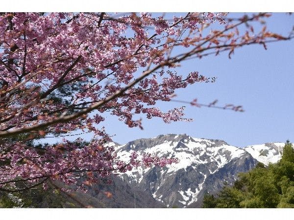 宿より谷川岳を眺める