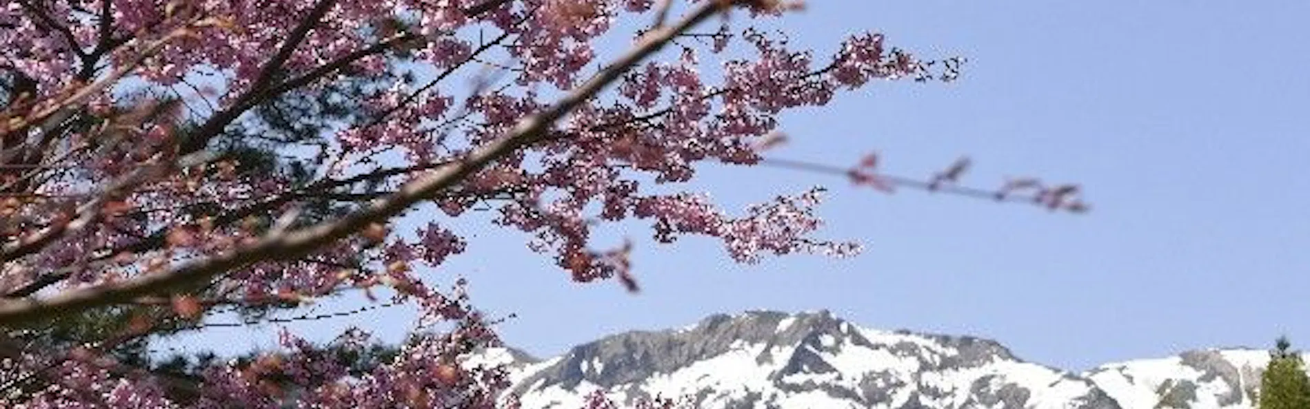 谷川温泉 やど莞山-KANZAN-