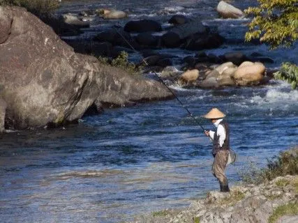 天然鮎を釣果次第でお出しします