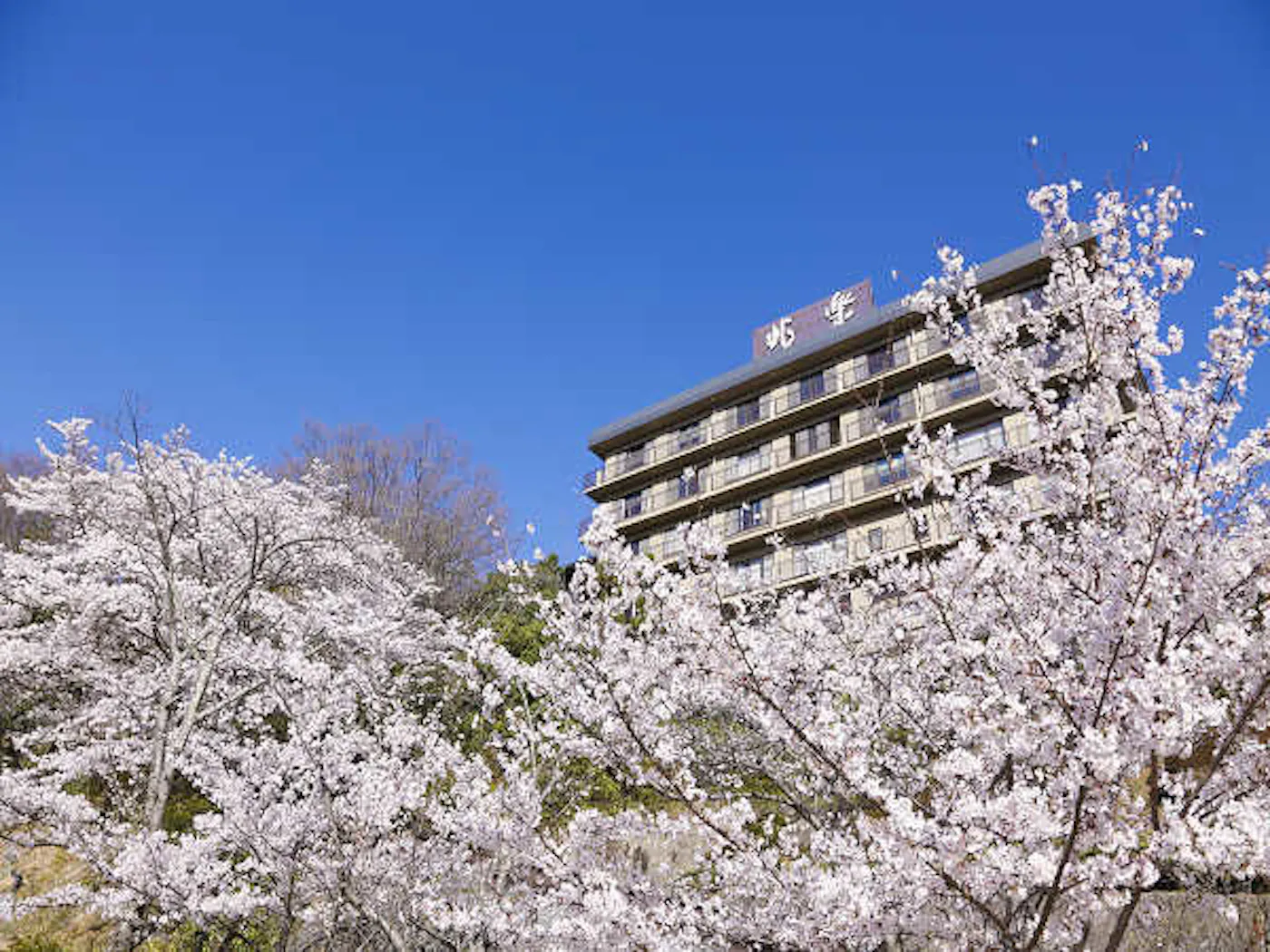 有馬温泉 銀水荘 兆楽：桜と外観