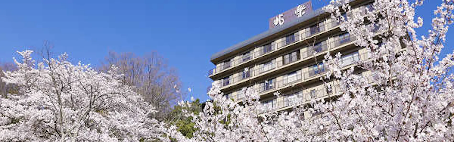 銀水荘 兆楽