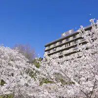 Sakura Chōraku