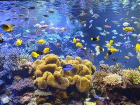 大江戸温泉物語 TAOYA 志摩 1枚目