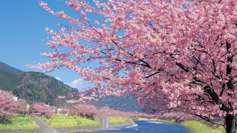 Kokochi Hotel Numazu