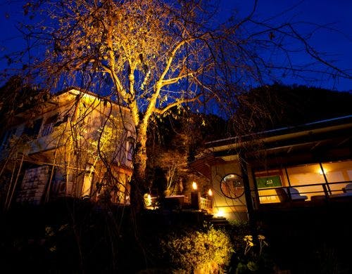 冬の中庭 しだれ桜