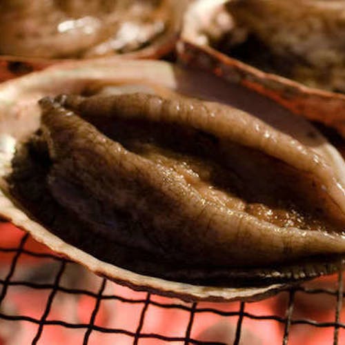 リゾートオフィスエンゼル越後湯沢だんろの家の宿で アワビ をご紹介 最上のひとときをどうぞ 一休 Com リゾートオフィスエンゼル越後湯沢だんろの家の宿で アワビ をご紹介 最上のひとときをどうぞ 一休 Com