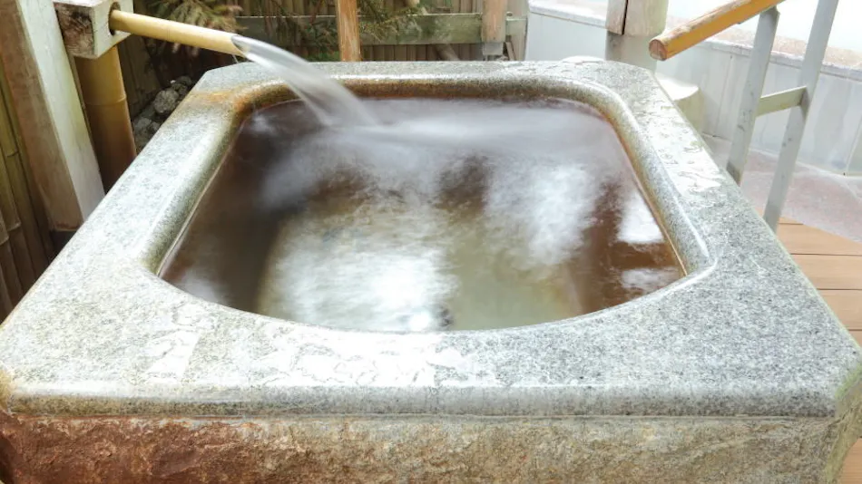 Hotel Futaba: The Inn of Echigo Woven by Water