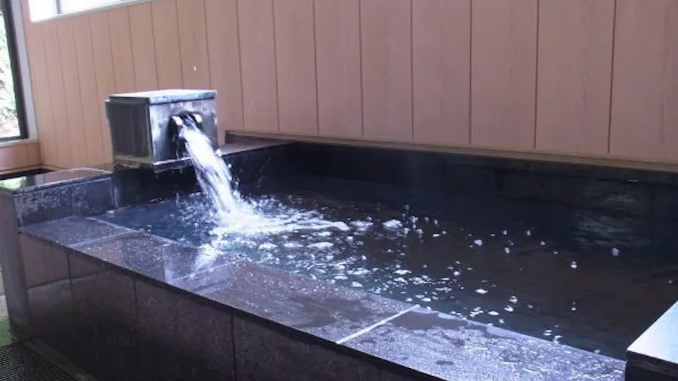 Hotel Futaba: The Inn of Echigo Woven by Water