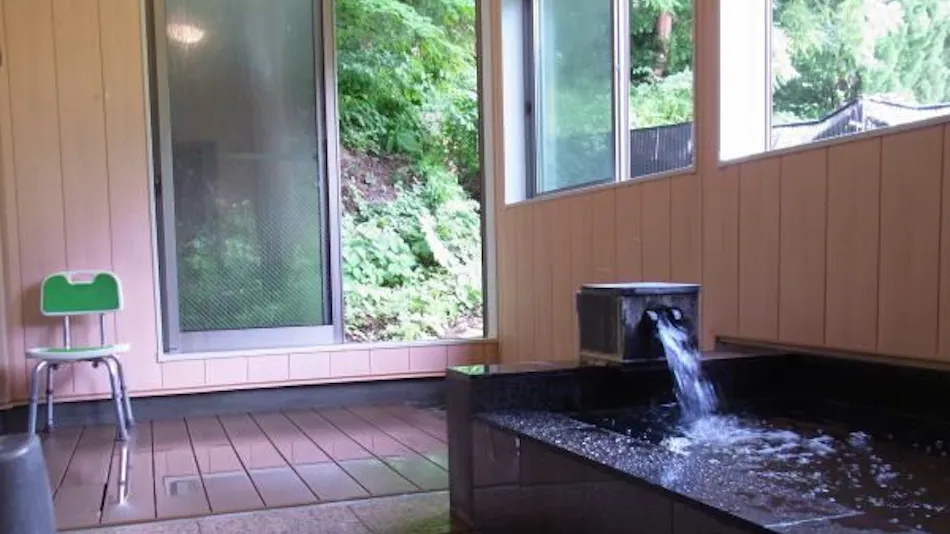 Hotel Futaba: The Inn of Echigo Woven by Water