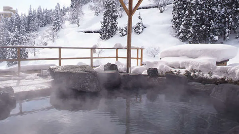 Hotel Futaba: The Inn of Echigo Woven by Water
