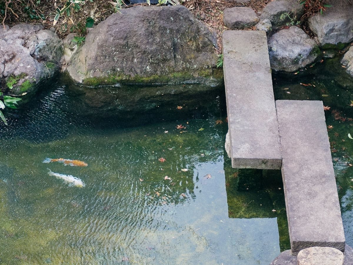 別府温泉　竹と椿のお宿　花べっぷ