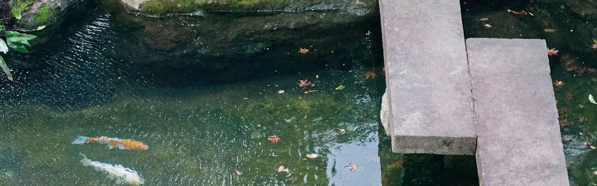 別府温泉 竹と椿のお宿 花べっぷ