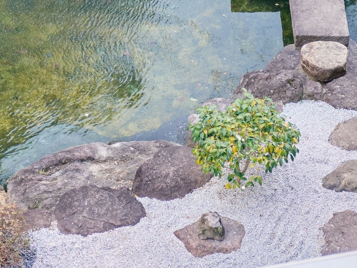 別府温泉　竹と椿のお宿　花べっぷ