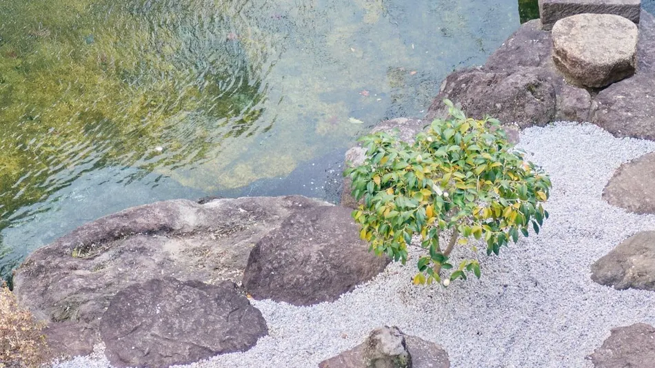 Beppu Onsen Take to Tsubaki no Oyado Hanabeppu