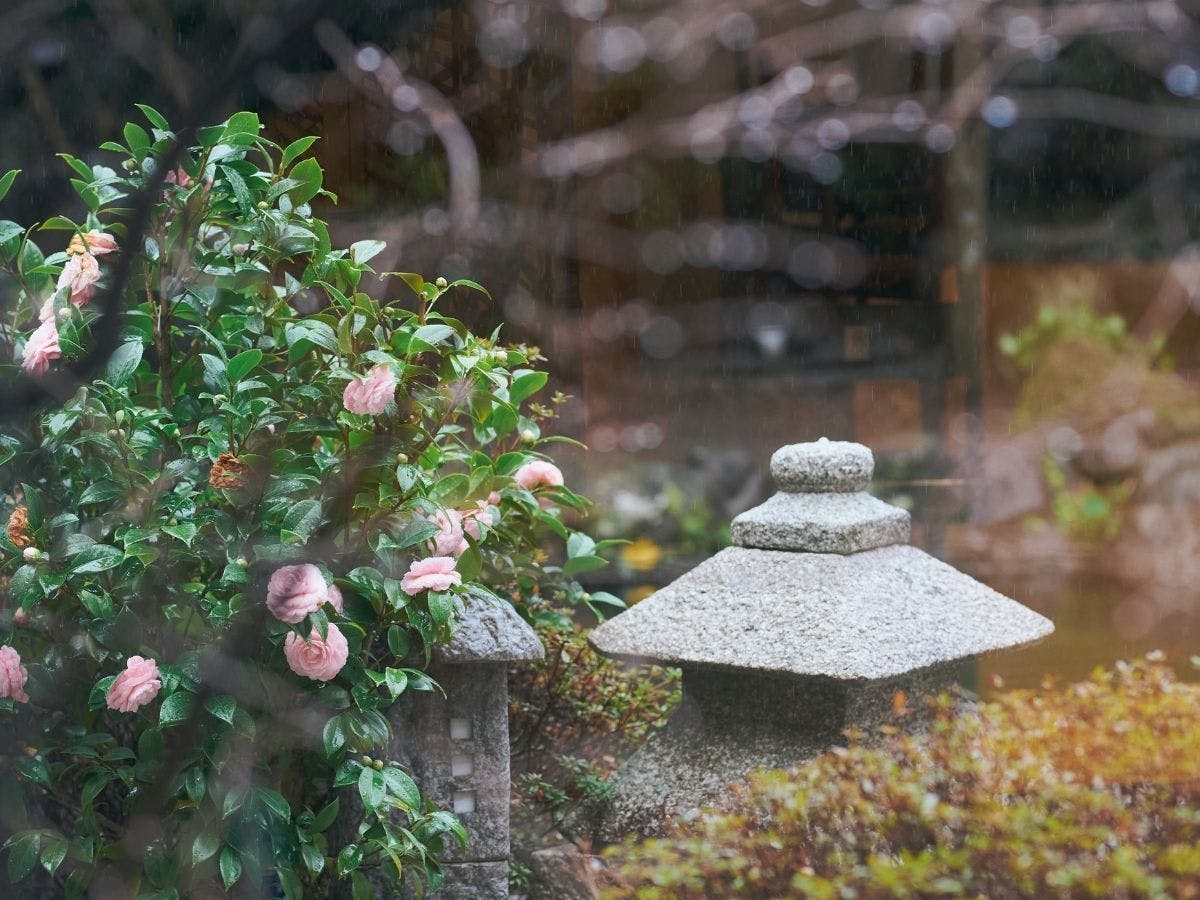 別府温泉　竹と椿のお宿　花べっぷ